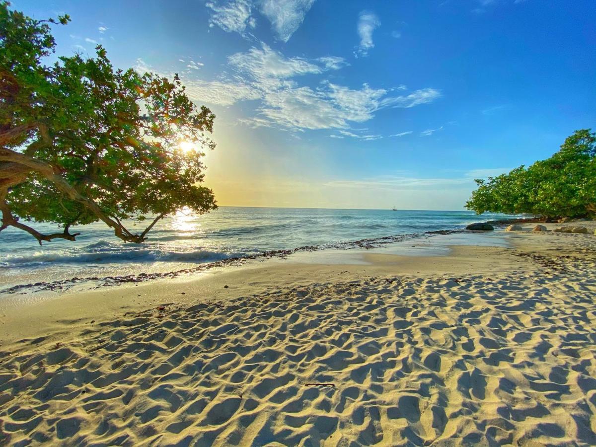 Palm Beach Paradise Vacation Rental Esterno foto